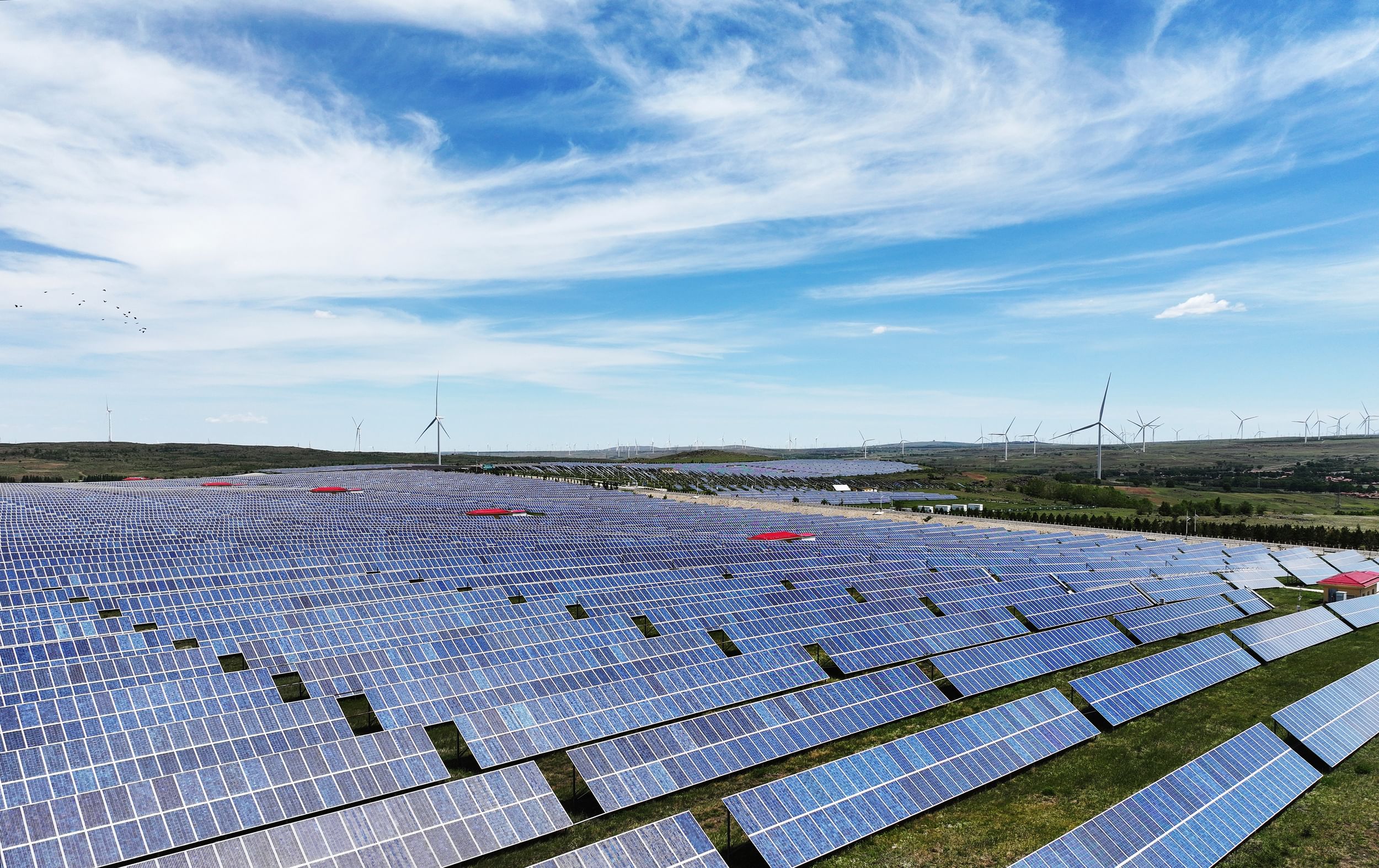 Many rows of solar panels on a flat, grassy plot, flanked by wind turbines on rolling hills