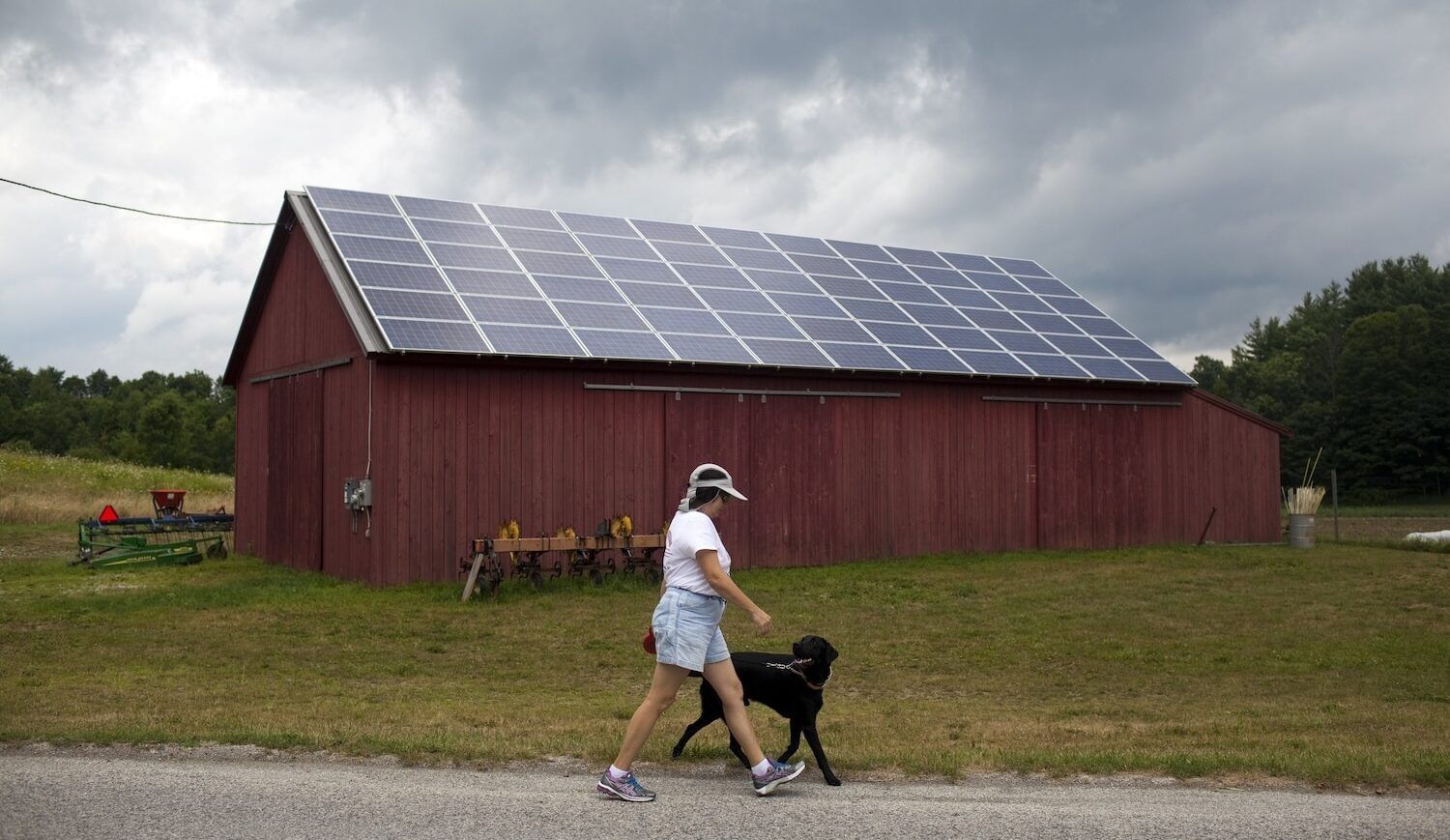 Woman in shorts walking black dog by a red barn with rooftop solar on a cloudy day