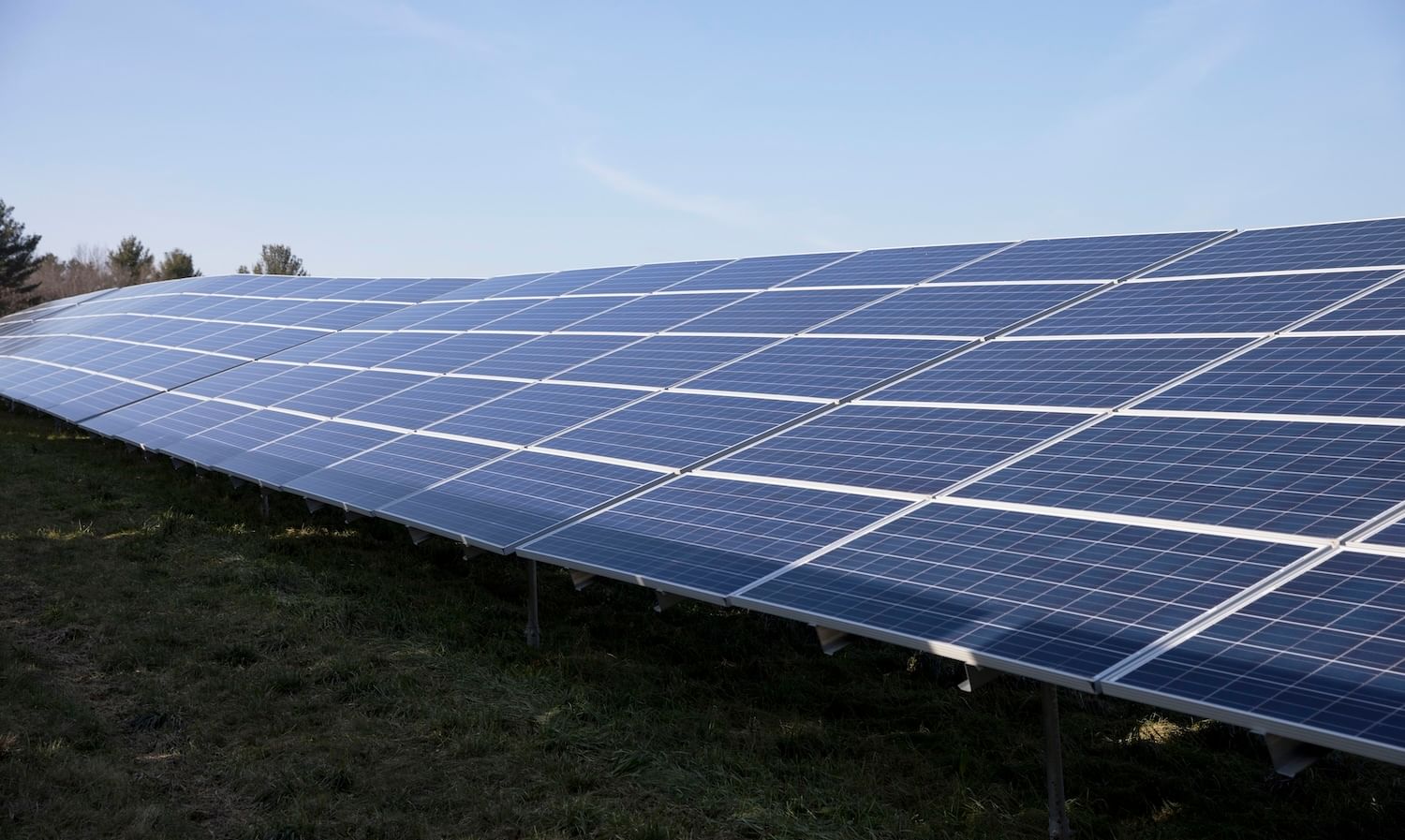 Rows of solar panels with grass in front