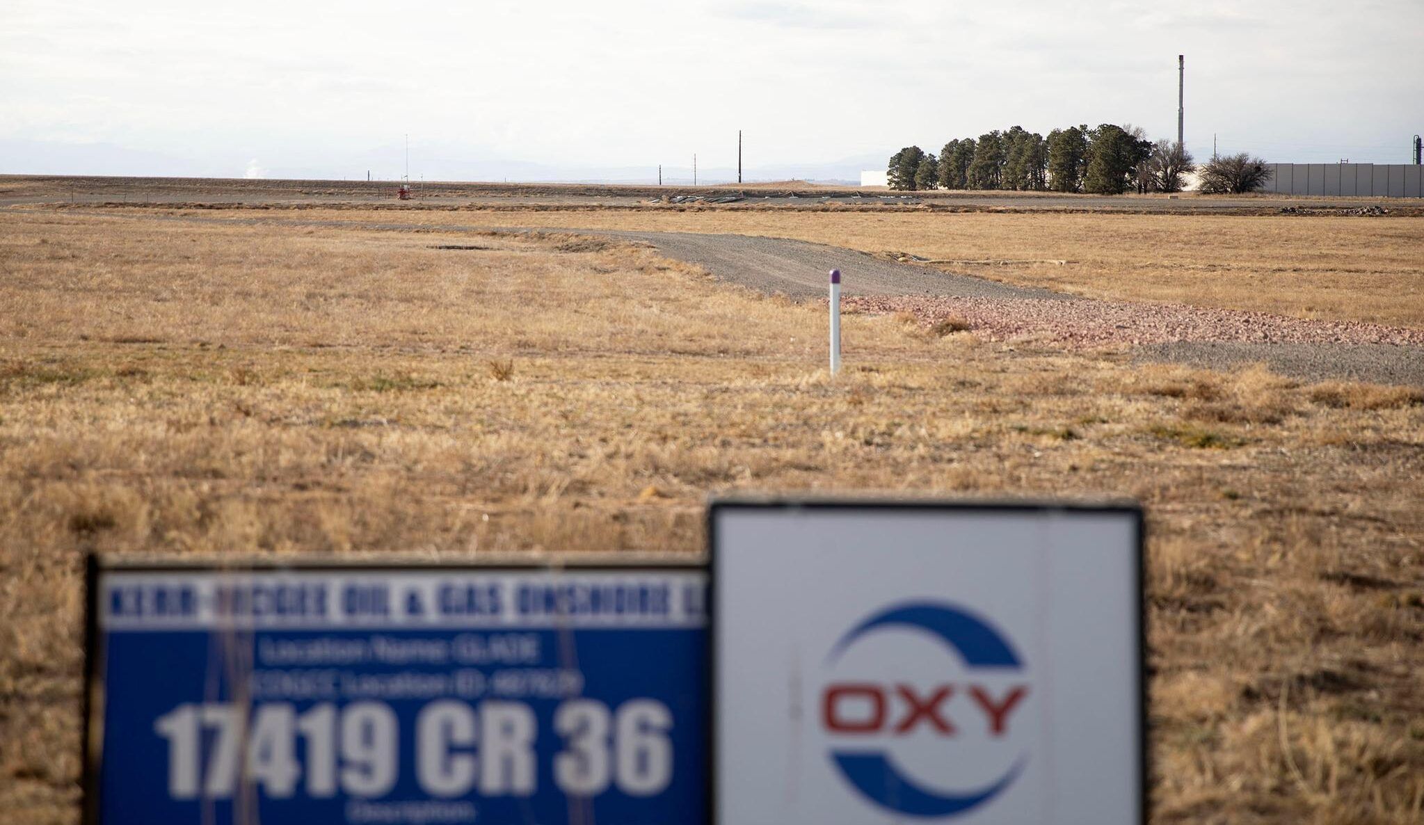 A flat, yellow-grass field with a roadway and a sign saying "OXY"