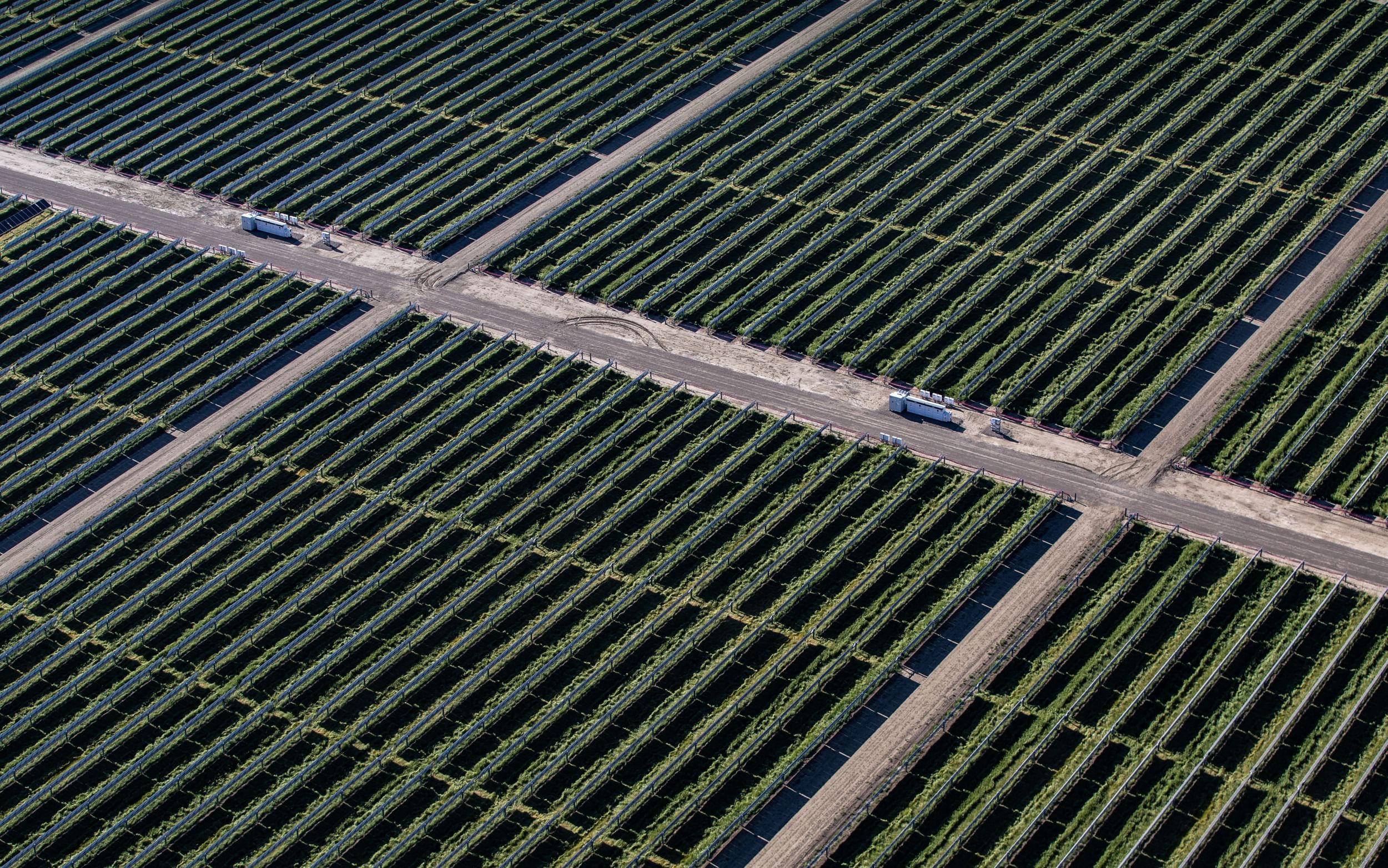Shot from above or rows of solar panels intersected by dirt roads, shown on a diagonal