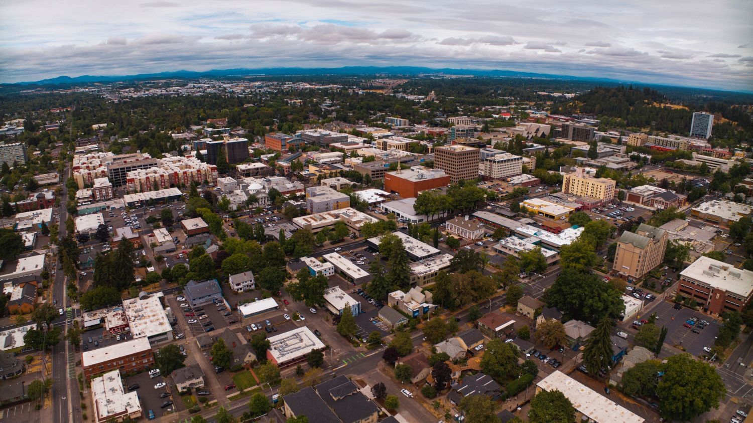 Buildings, streets, and trees seen from above