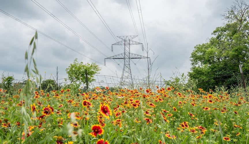 This spring, clean energy in the US set record after… | Canary Media