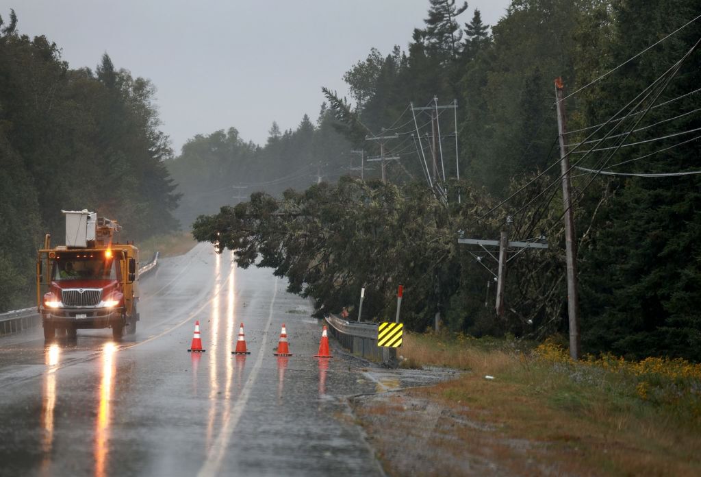 a road slick with rain bordered by a fallen tree and downed power lines