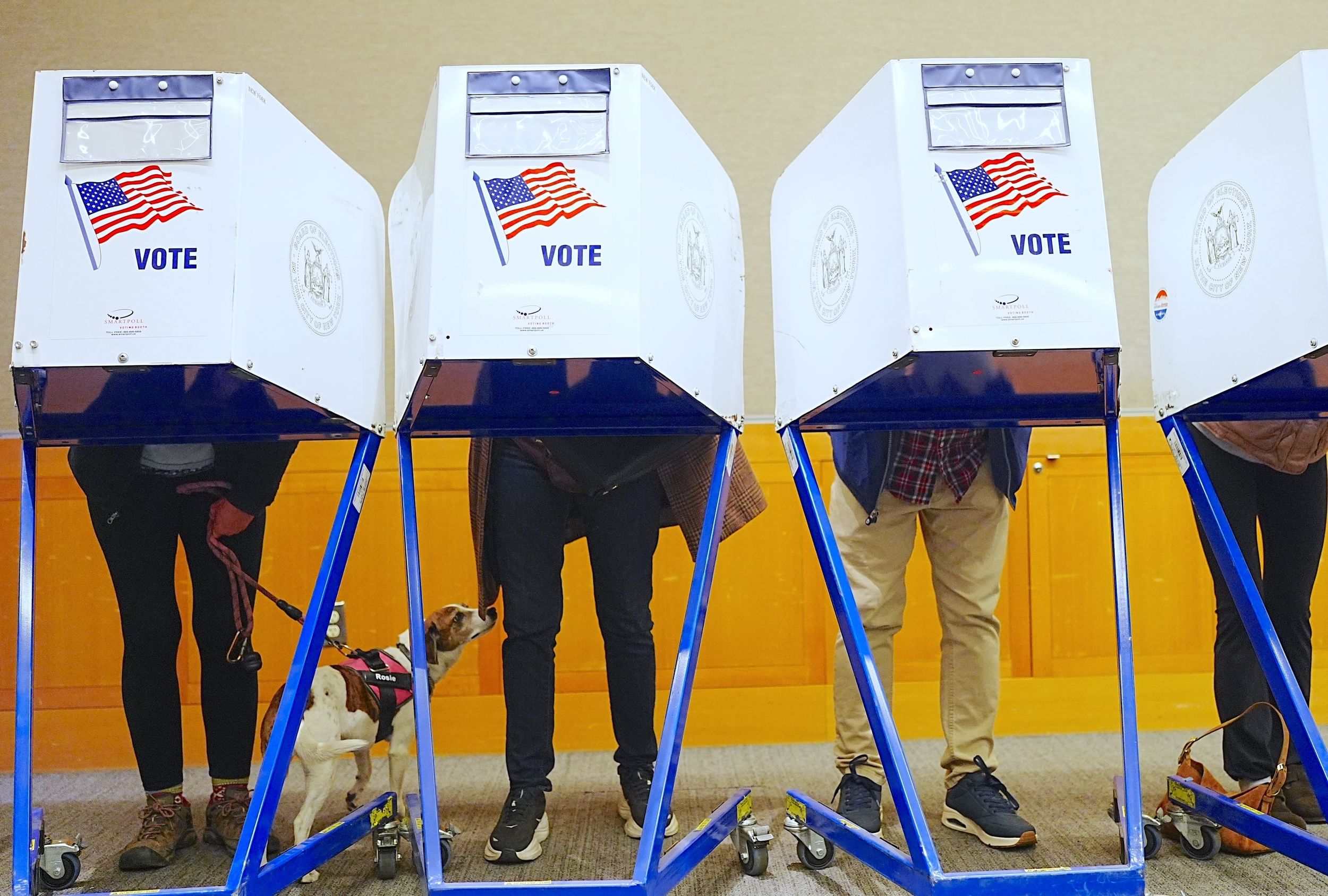 People stand at a line of voting booths.