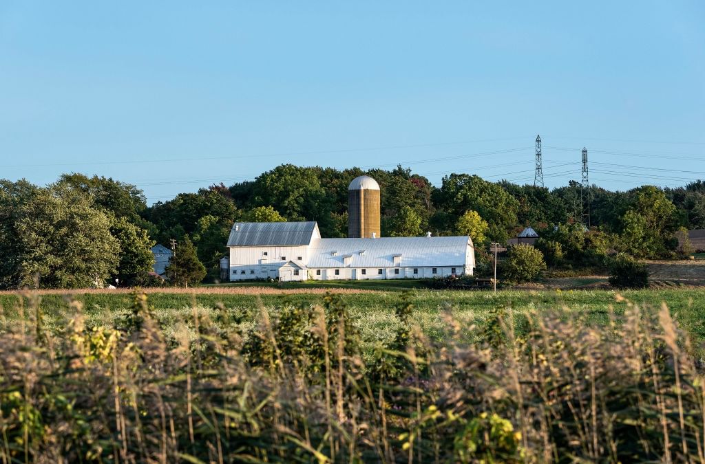 A barn and silo seen from across a field on a sunny day