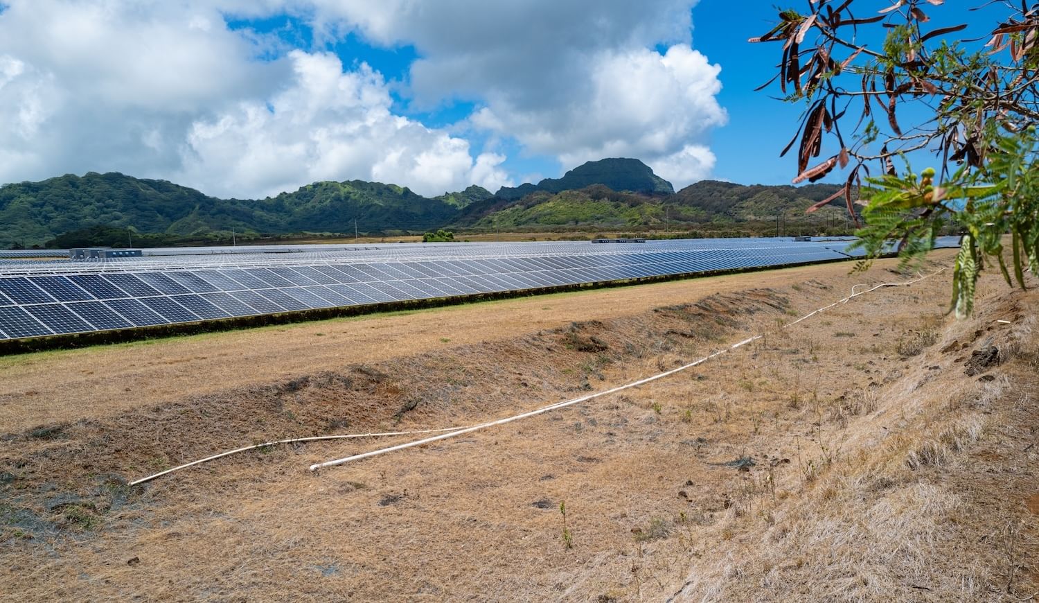 Line of solar panels with lush mountains in the background and brown grass in the foreground