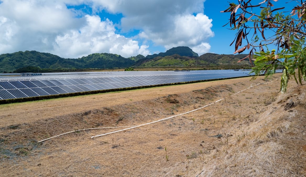 Line of solar panels with lush mountains in the background and brown grass in the foreground