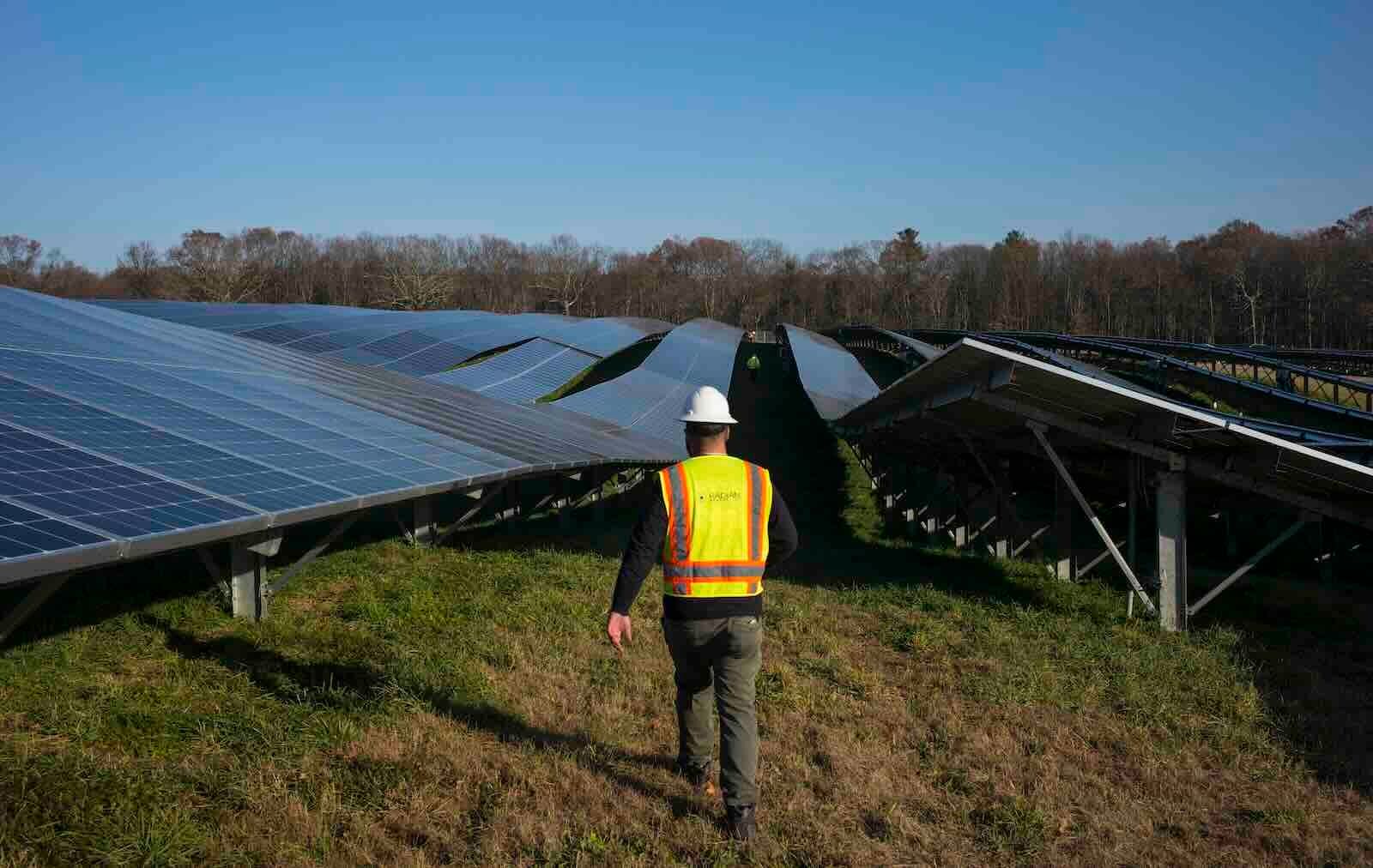 worker in a field of solar panels