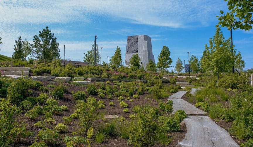 Pathway through planting leading to the tower of the Obama Center