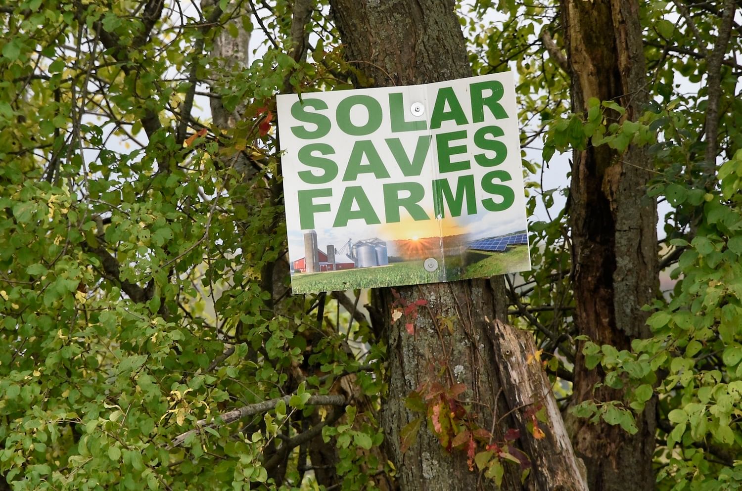 A ”Solar Saves Farms” sign, white with green lettering, on a tree