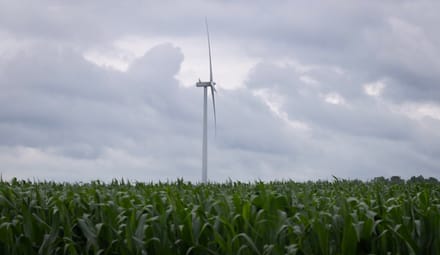Wind turbine in a cornfield under a cloudy sky