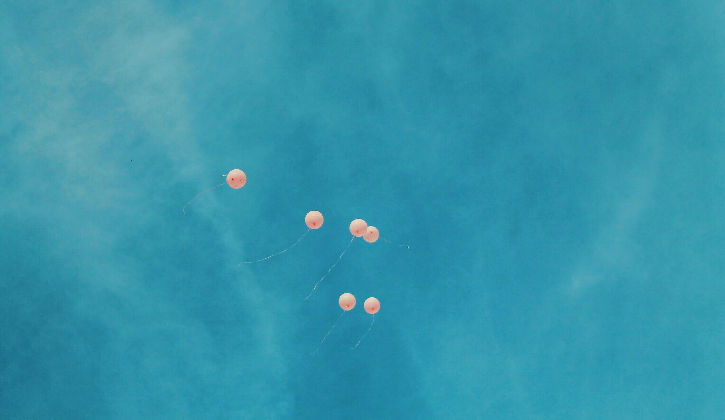 6 pink balloons float in a blue sky