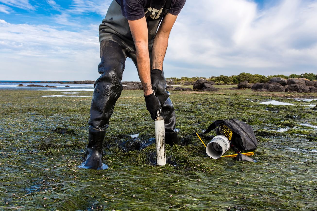 A worker in wader plunges a white cylindrical scientific instrument into marshy land
