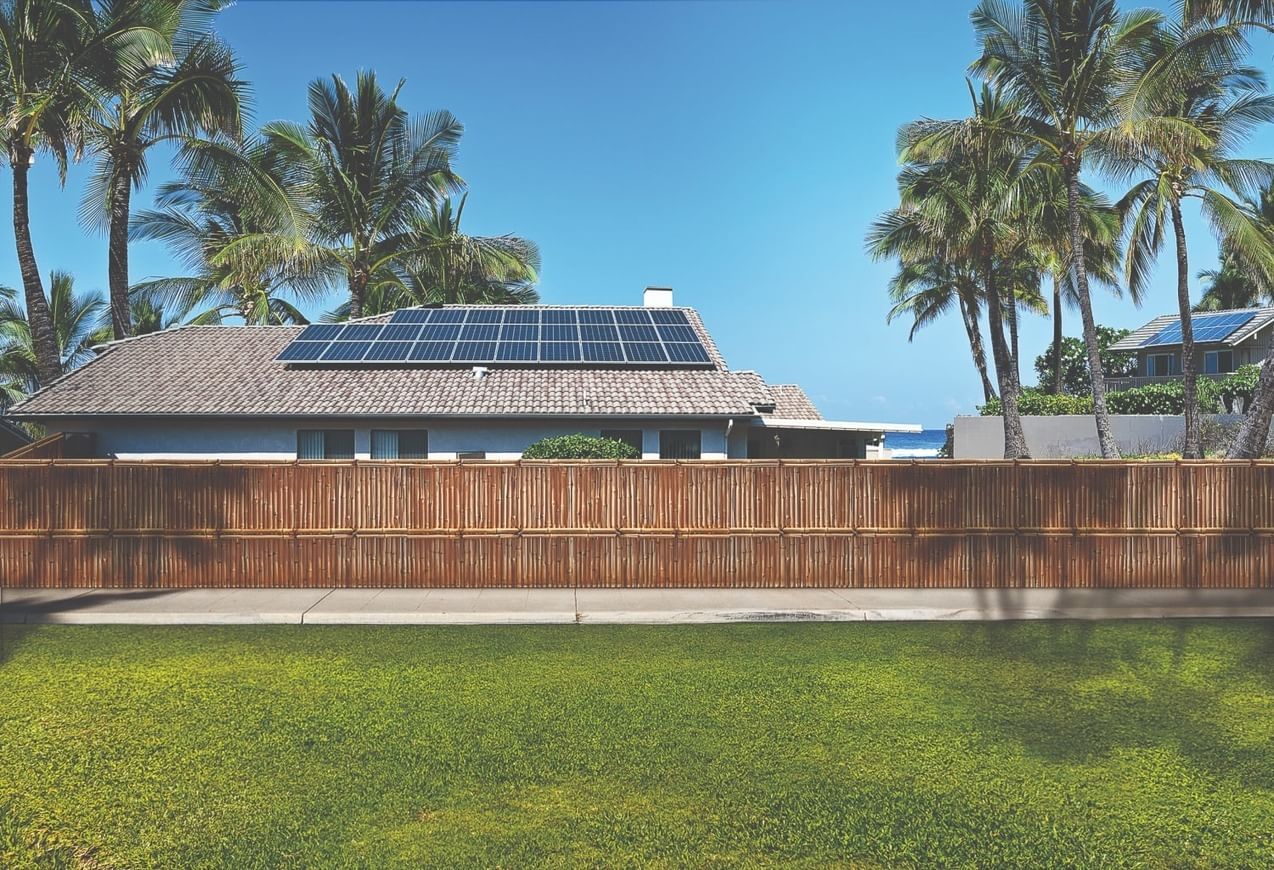 A beachfront home with solar panels on the roof surrounded by palm trees